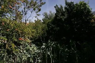 Casa Dos Limoes * Mangualde